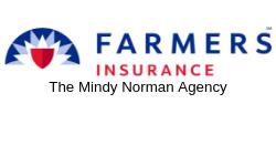 Mindy M. Norman Agency